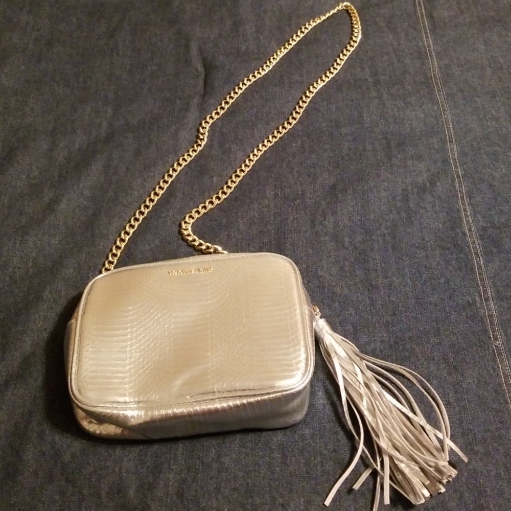 Silver snakeskin purse with tassel & links